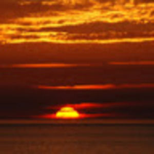 Meet your Posher, Meagan